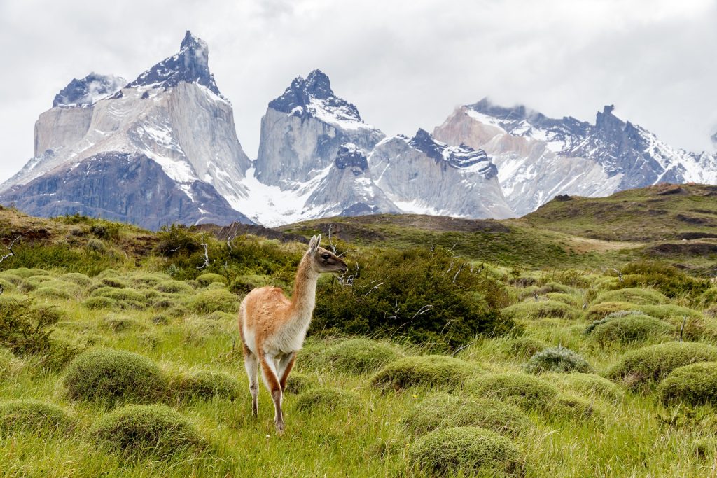 Chile suspende teste obrigatório ao chegar no país