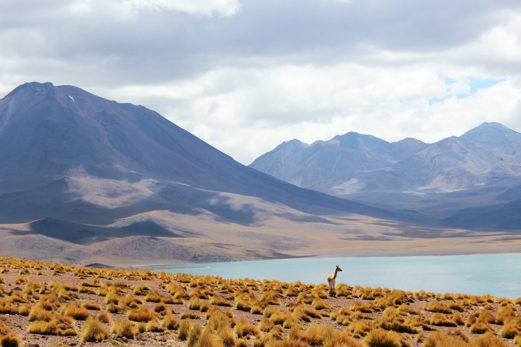 Chile abre fronteiras para viajantes