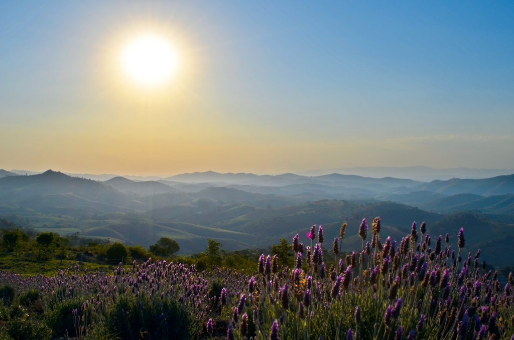 5 pontos estratégicos para ver o pôr do sol de camarote no Brasil